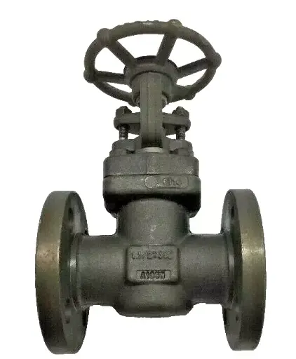 DSI 2131A8-18 Válvula de compuerta 1-1/2" Class 300 RF Flanged 775psi WOG